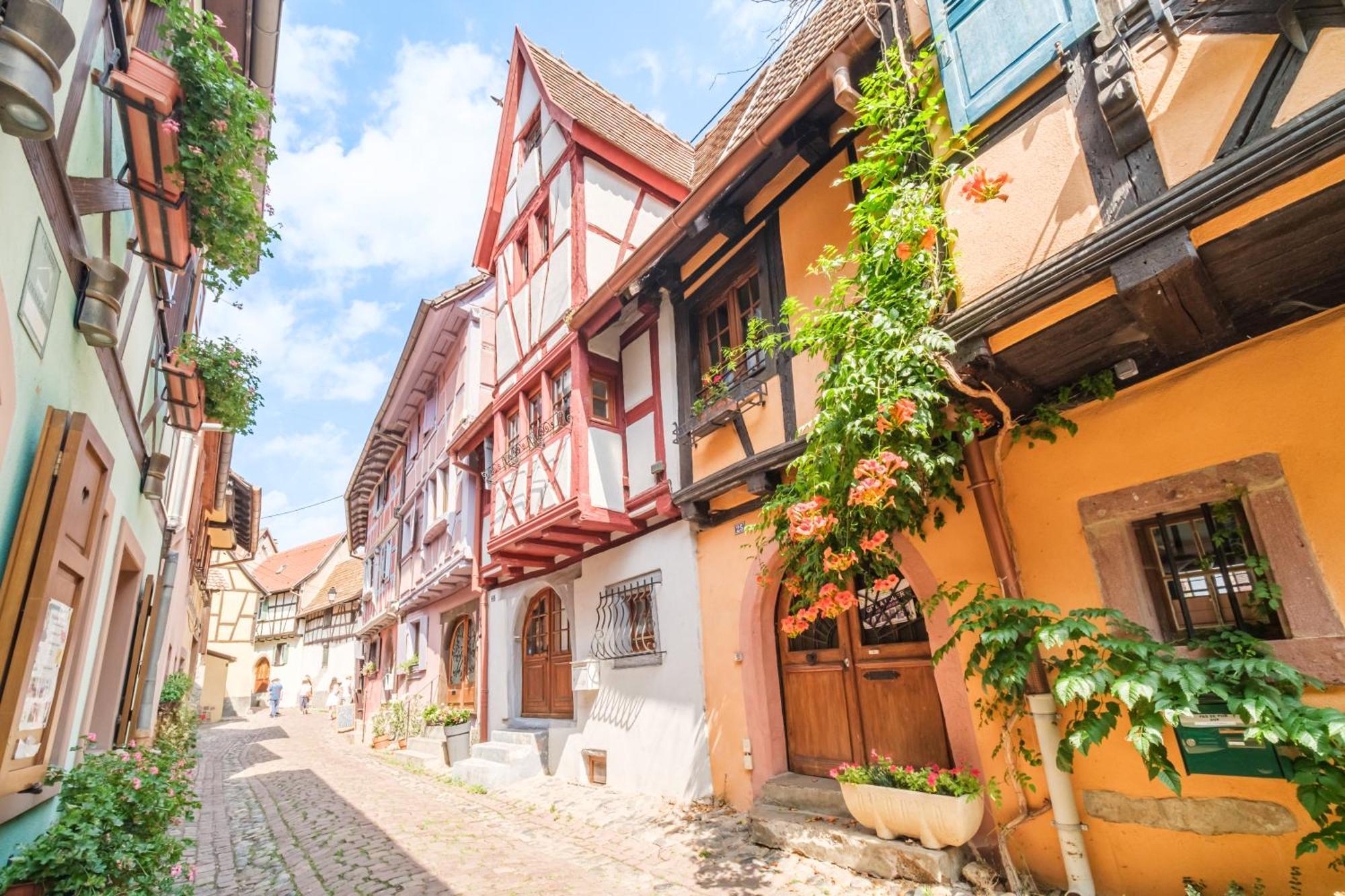 Willa L Oriel Du Rempart Nord Eguisheim Zewnętrze zdjęcie